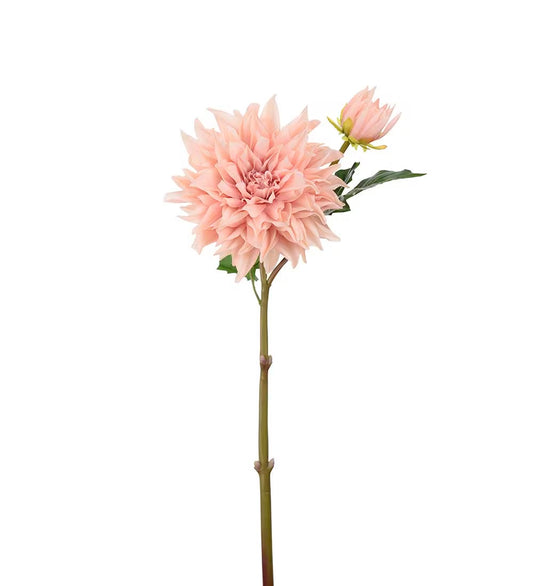 Dahlia peach 70 cm