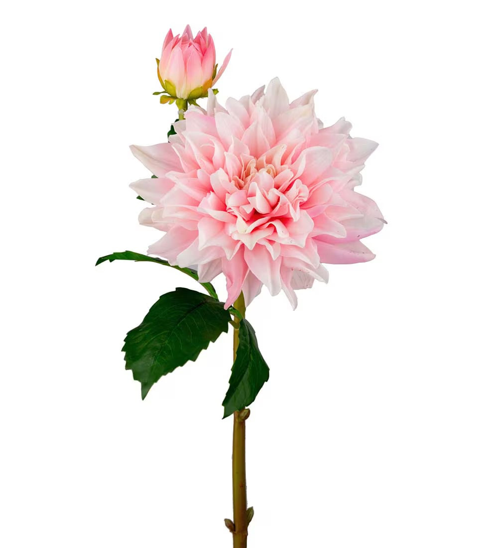 Dahlia light pink 70 cm