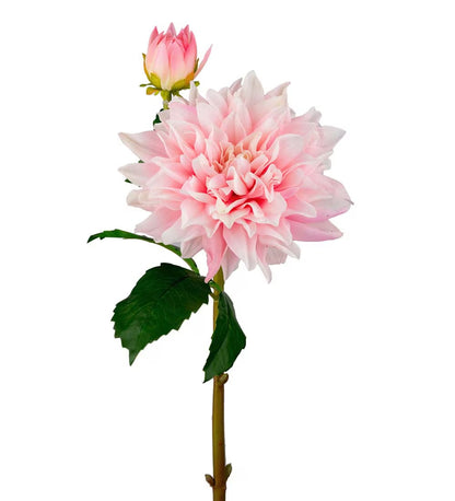 Dahlia light pink 70 cm