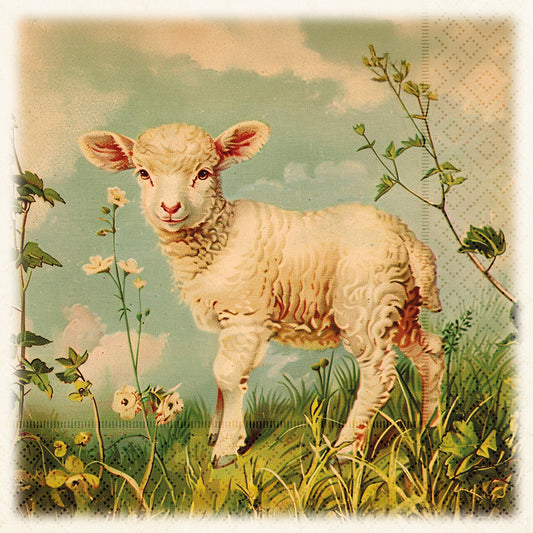 Serviett lunch Spring animals lamb