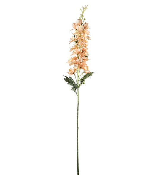 Delphinium fersken 75 cm