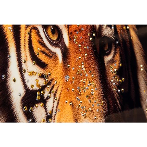 Lerretsbilde tiger hipster 64x84 cm