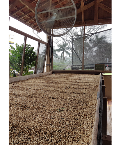 Brasil Barreiro kaffe hele bønner 250 gram