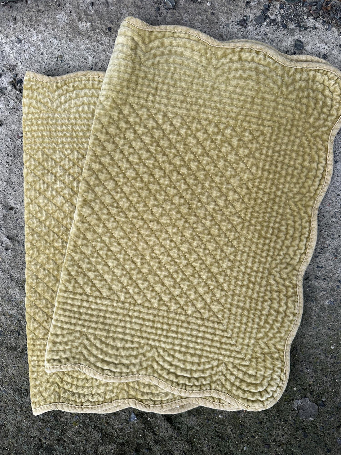 Spisebrikke velour Dijon