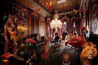 Pleksiglass bilde Animal kingdom 150x100 cm