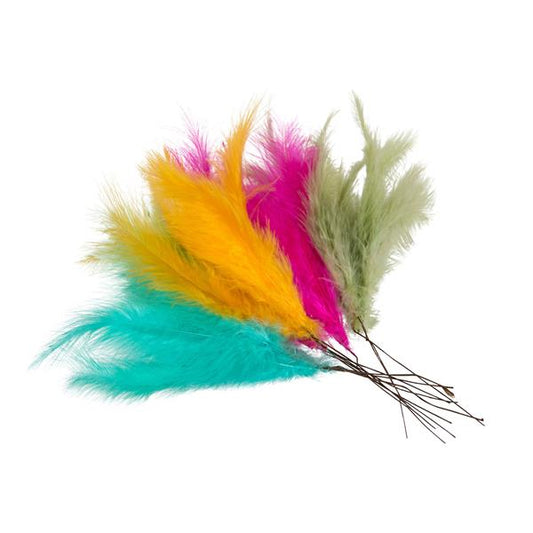 Fjær farger 12 stk