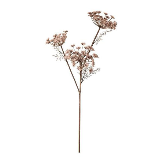 Vildmorot rosa 80 cm