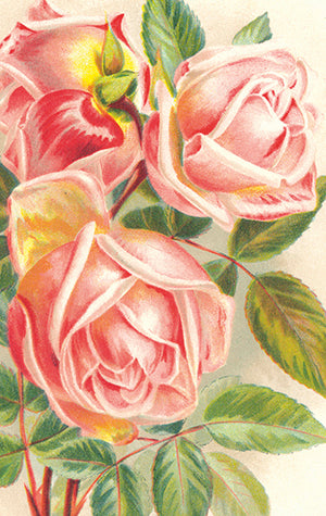 Mini card