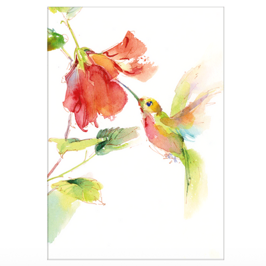 Kort m/konvolutt Hummingbird