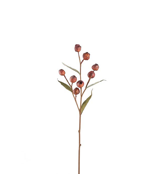 Eucalyptuskvist med bær 65 cm