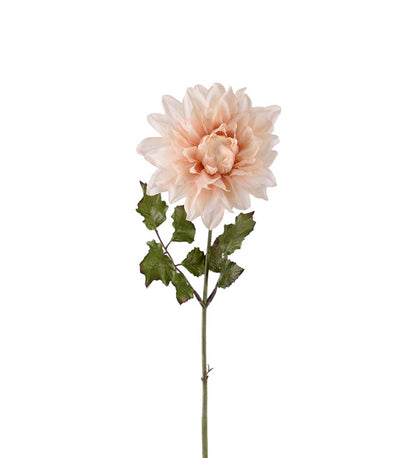 Dahlia lys fersken 45 cm