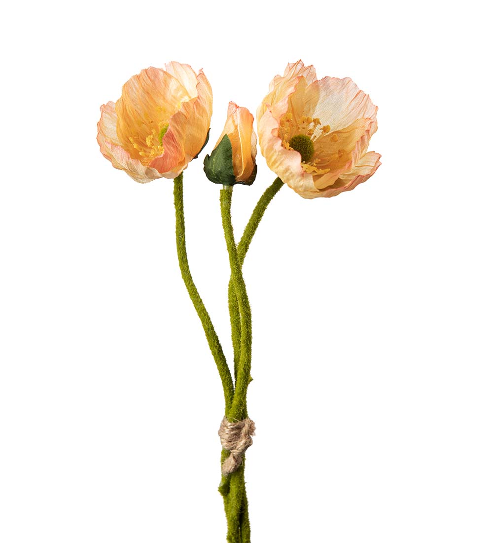 Valmue bunt fersken 22 cm