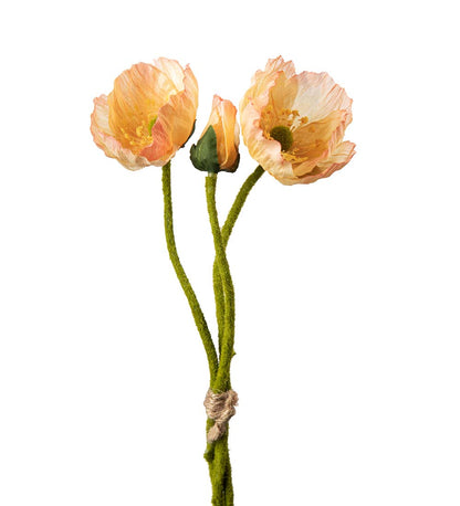 Valmue bunt fersken 22 cm