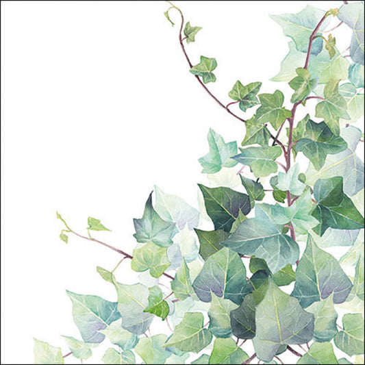 Serviett lunch Hedera white