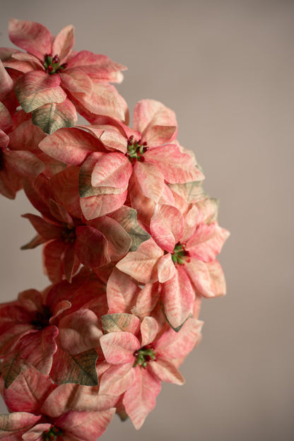 Wreath poinsettia pink 30 cm