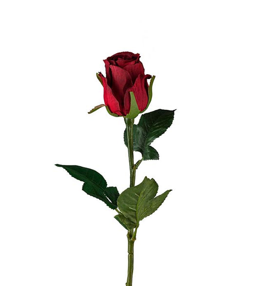 Rose mørk rød 50 cm