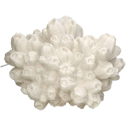 Bordlampe Coral Lotus