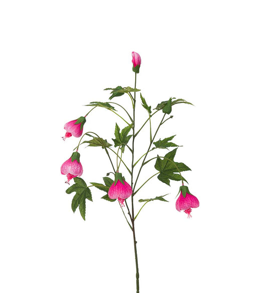 Flowering Maple Pink 80 cm