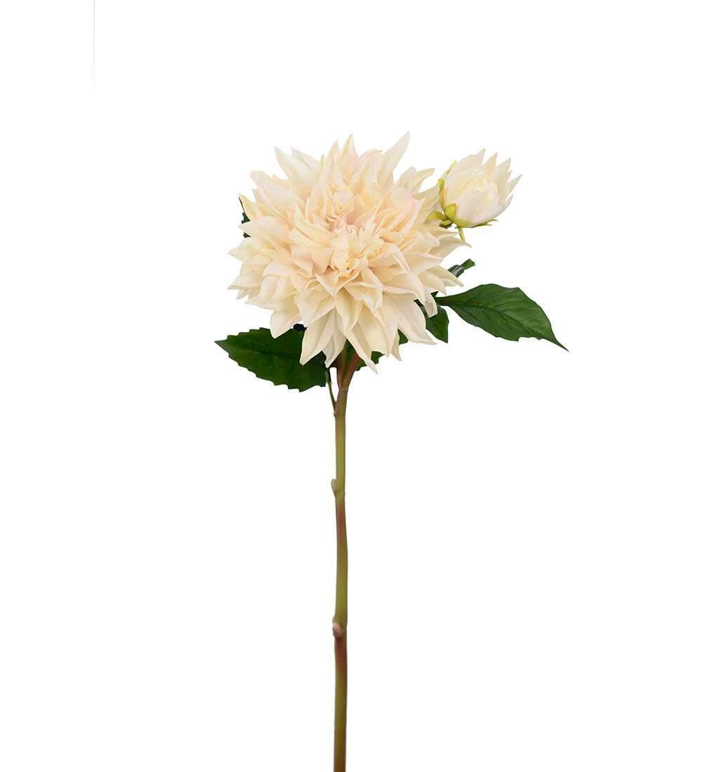 Dahlia krem 70 cm