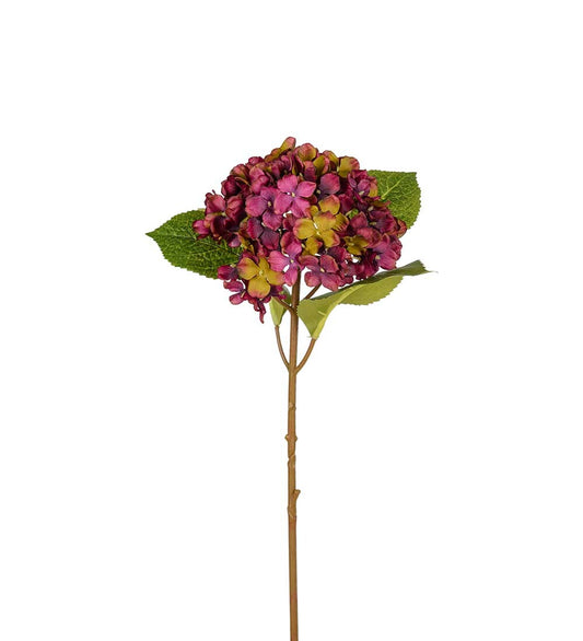 Hortensia mørk lilla 40 cm