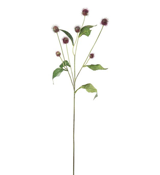 Tistel burgunder 58 cm