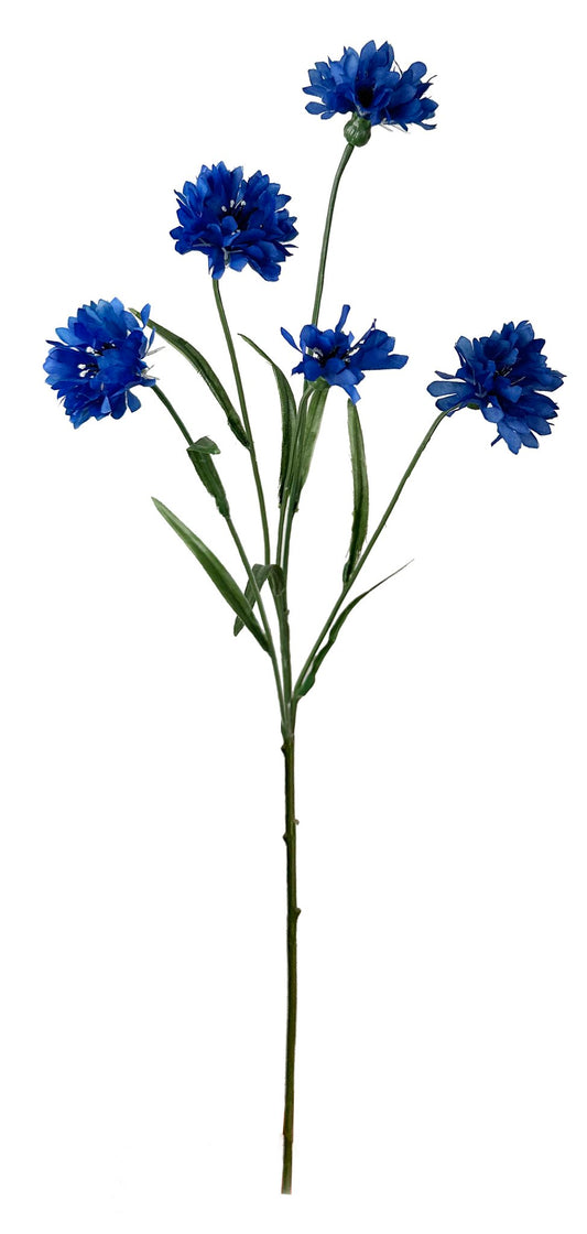 Kornblomst 57 cm