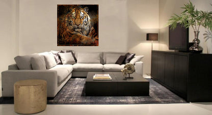 Pleksiglass bilde Redbone 100x100 cm