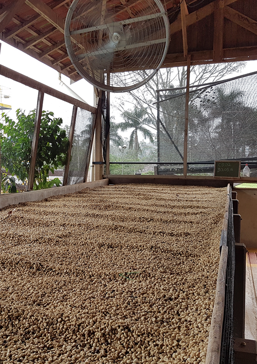 Brasil Barreiro kaffe hele bønner 250 gram