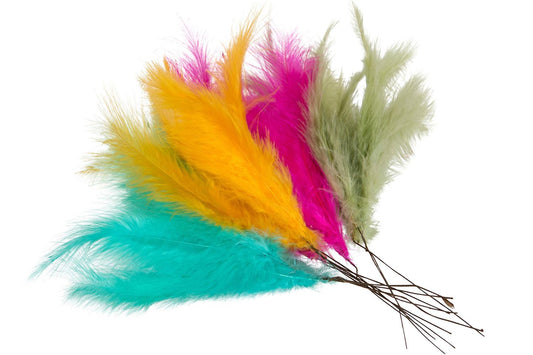 Fjær farger 12 stk