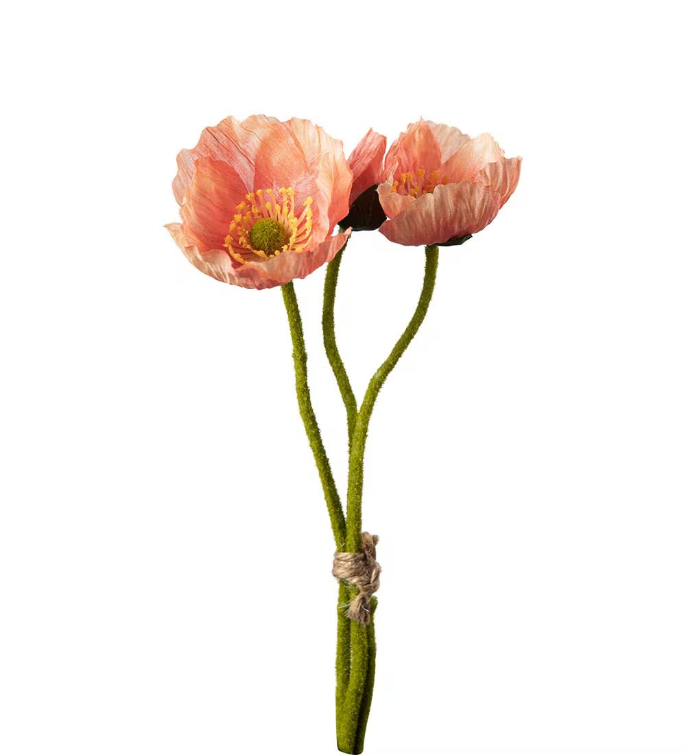 Valmue bunt rosa 22 cm