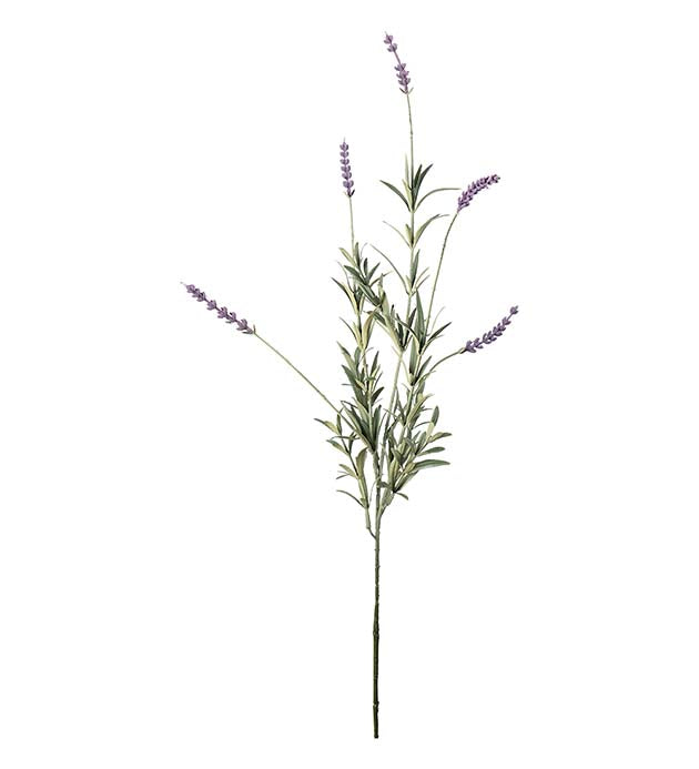 Lavendel lys lilla 65 cm