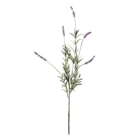 Lavendel lys lilla 65 cm