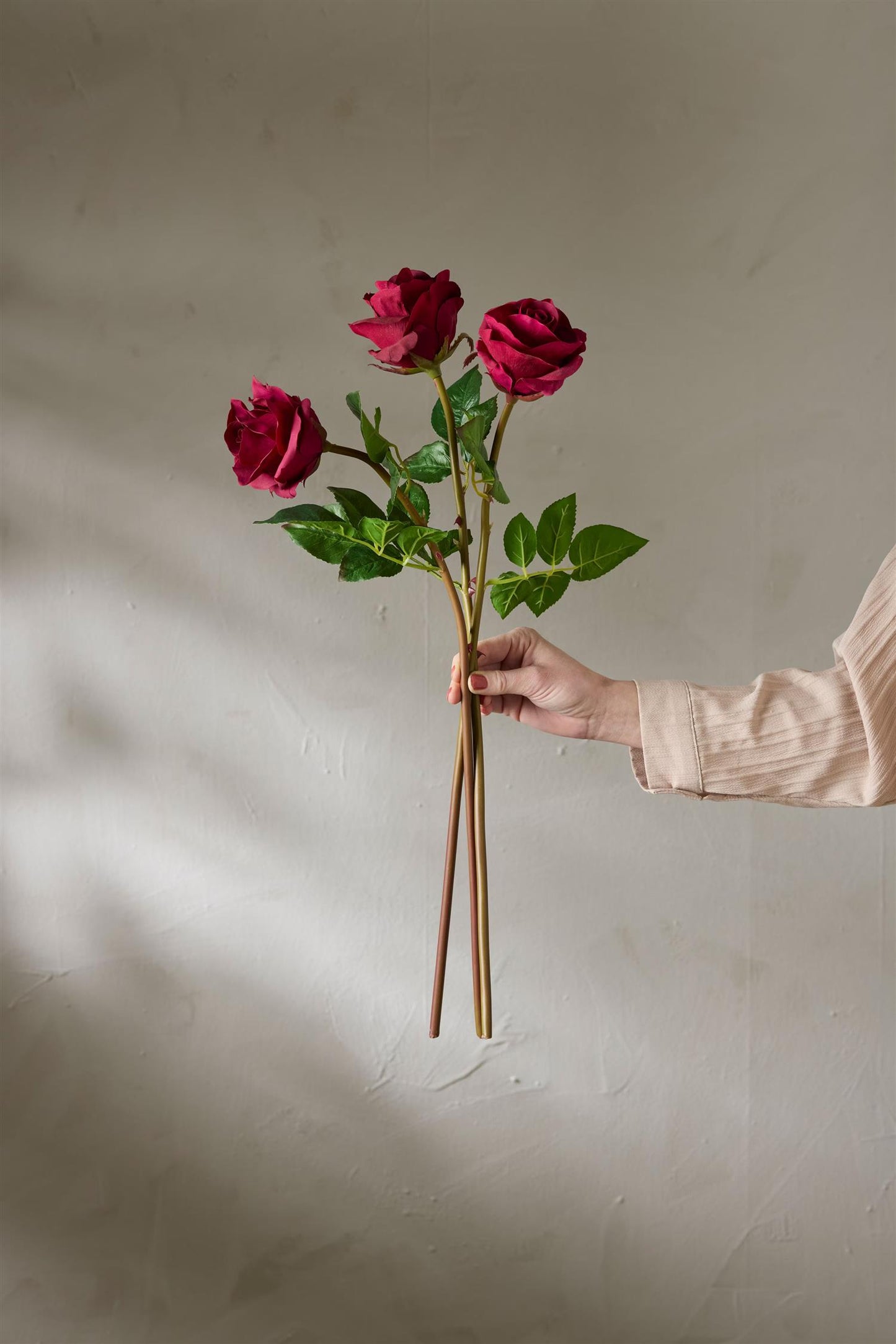 Rose burgunder 65 cm