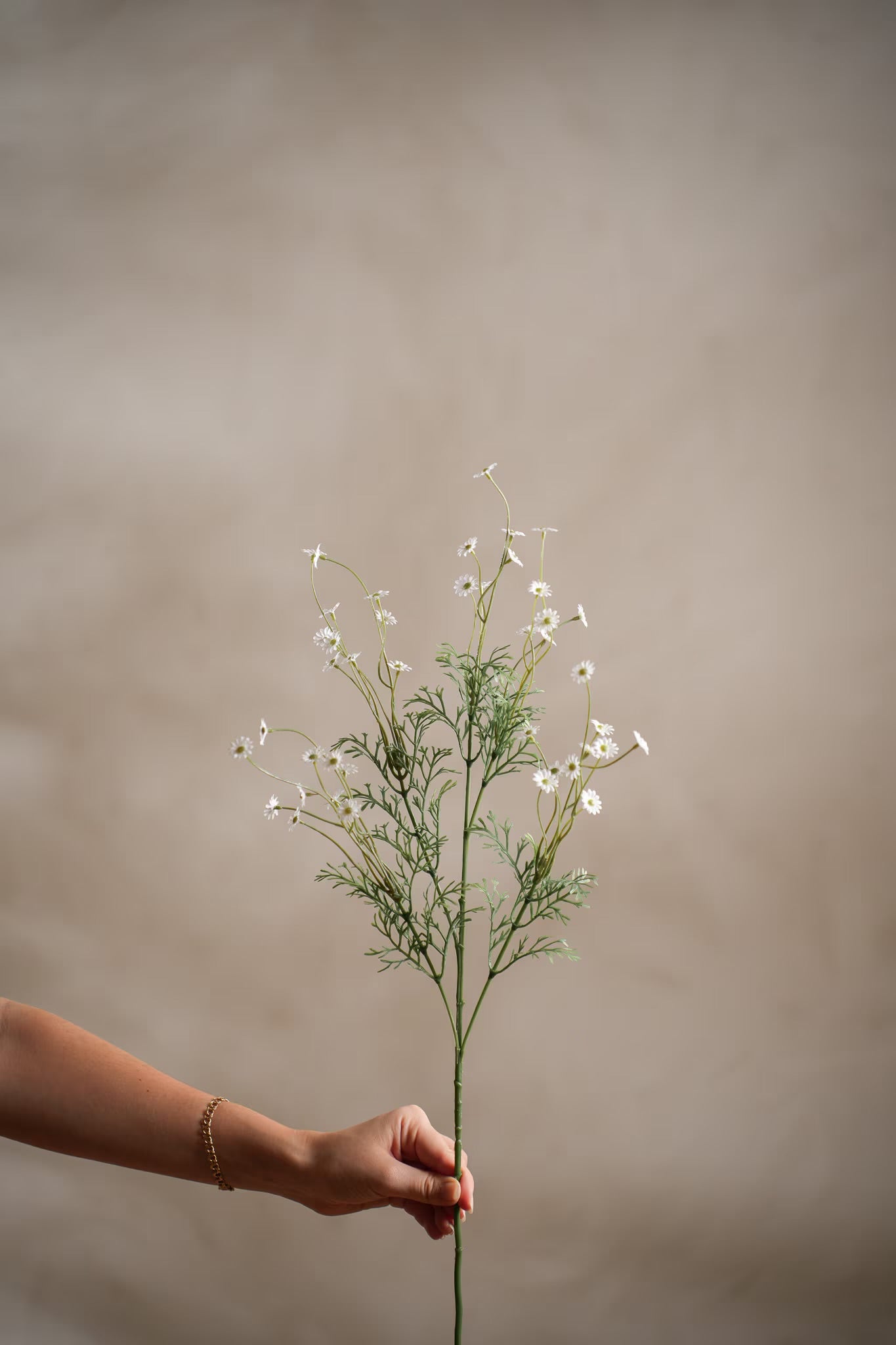 Daisy white 72 cm