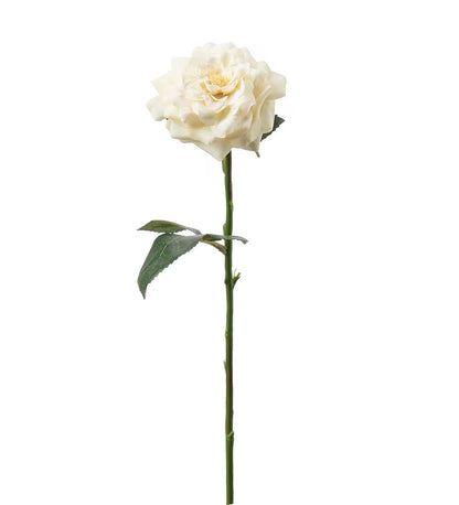 Rose yellow 41 cm