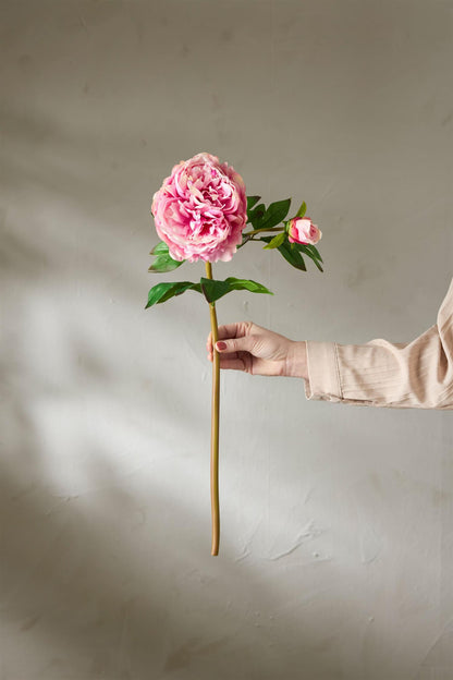 Peon lys rosa 65 cm