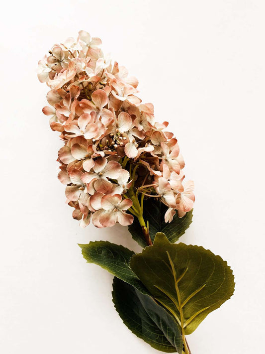Syrinhortensia rosa 82 cm