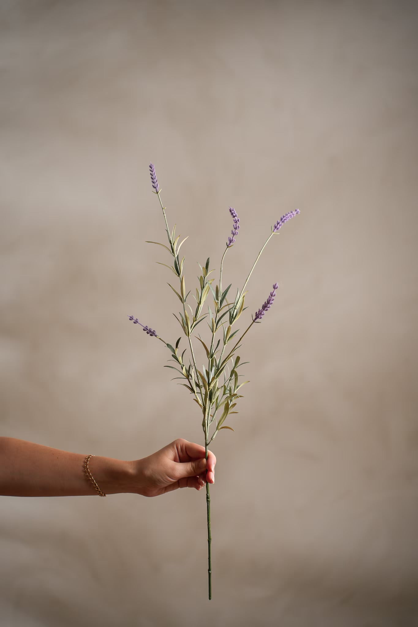 Lavendel lys lilla 65 cm