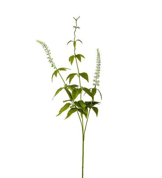 Lavendel hvit 70 cm