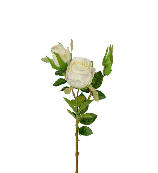 Rose hvit 40 cm