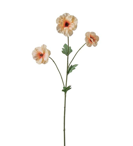 Japansk ranunkel fersken 62 cm