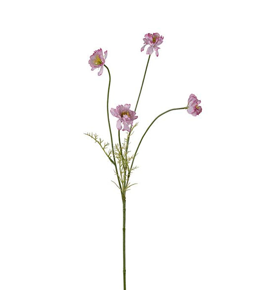 Cosmos rosa 55 cm