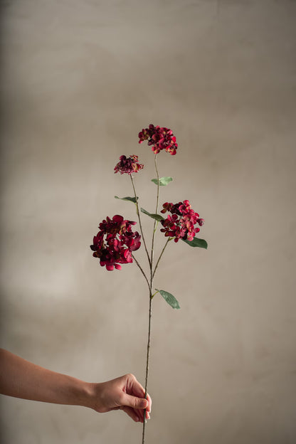 Hortensia rød 80 cm