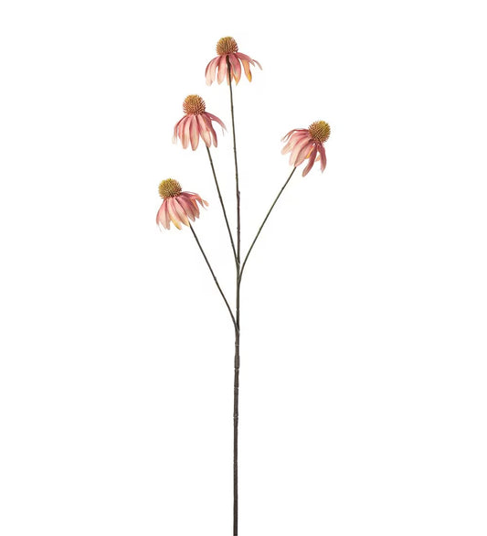 Coneflower orange 80 cm