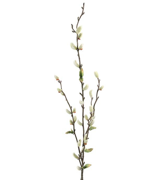 Gåsungekvist 85 cm