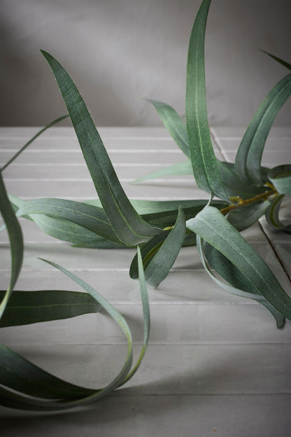 Eucalyptus grønn 60 cm