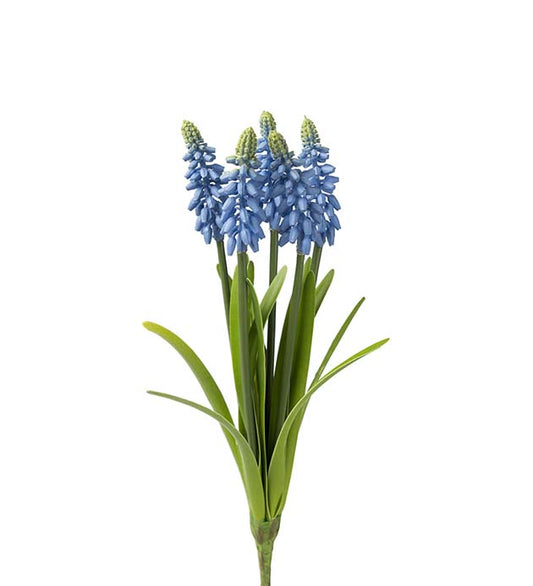 Perlehyasint 30 cm