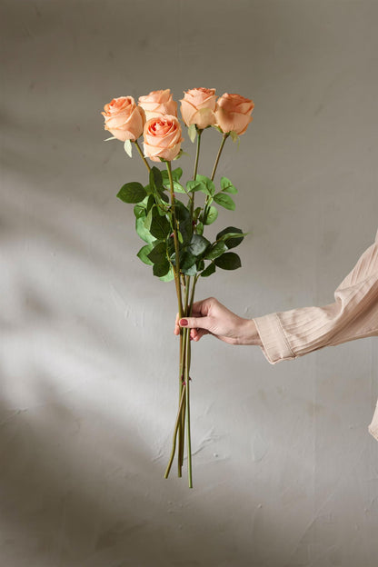 Apricot rose 75 cm