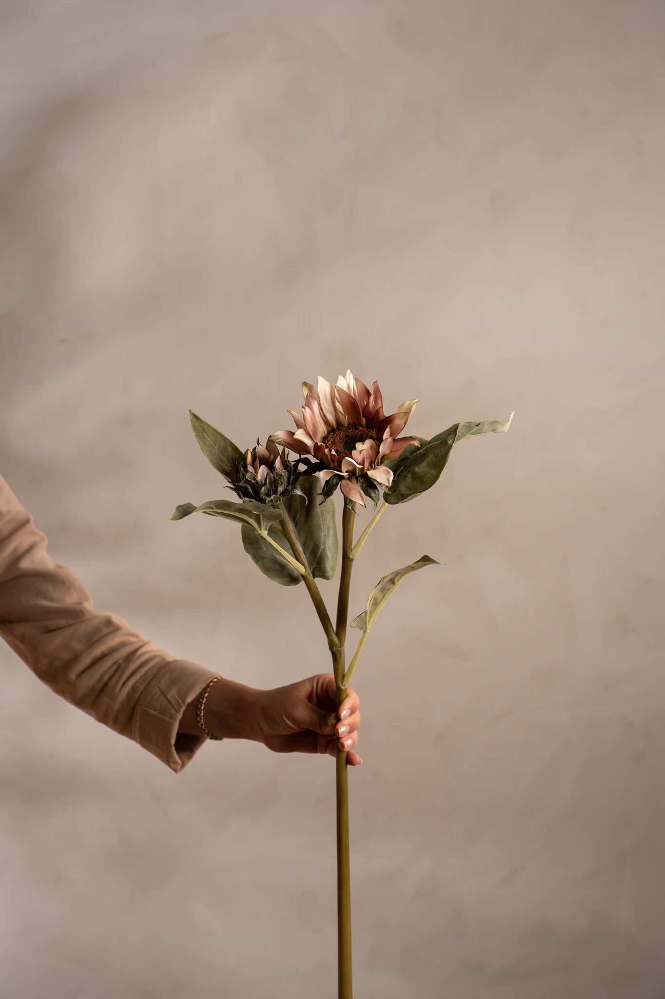 Solsikke rosa 74 cm