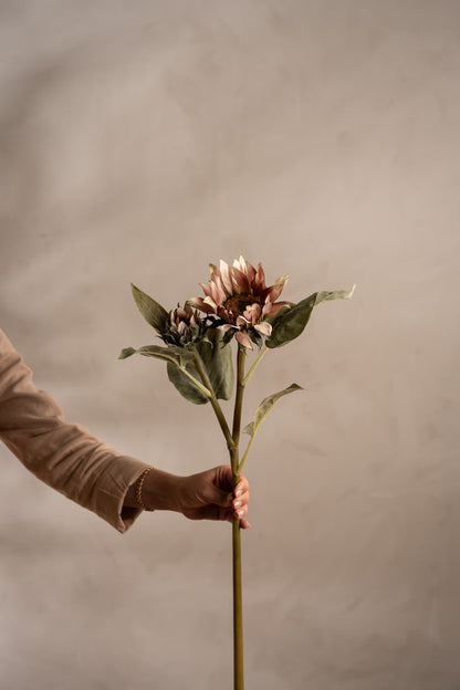 Solsikke rosa 74 cm